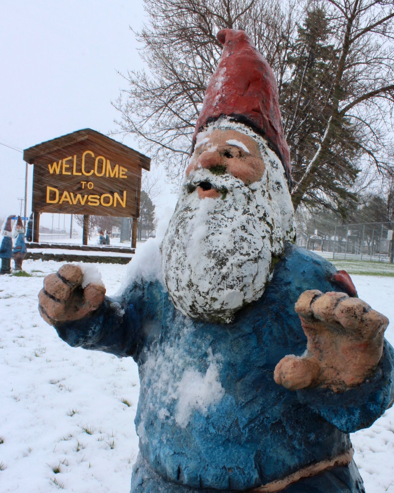 More gnomes